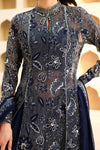 Embroidered Chiffon Fabric (3Pcs) | LF-819