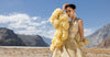 Embroidered Organza Fabric (2Pcs) | LF-910