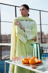 Printed Chiffon Dupatta