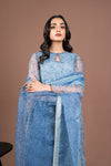 2 Pc Printed Organza Suit