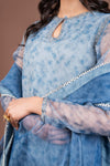 2 Pc Printed Organza Suit