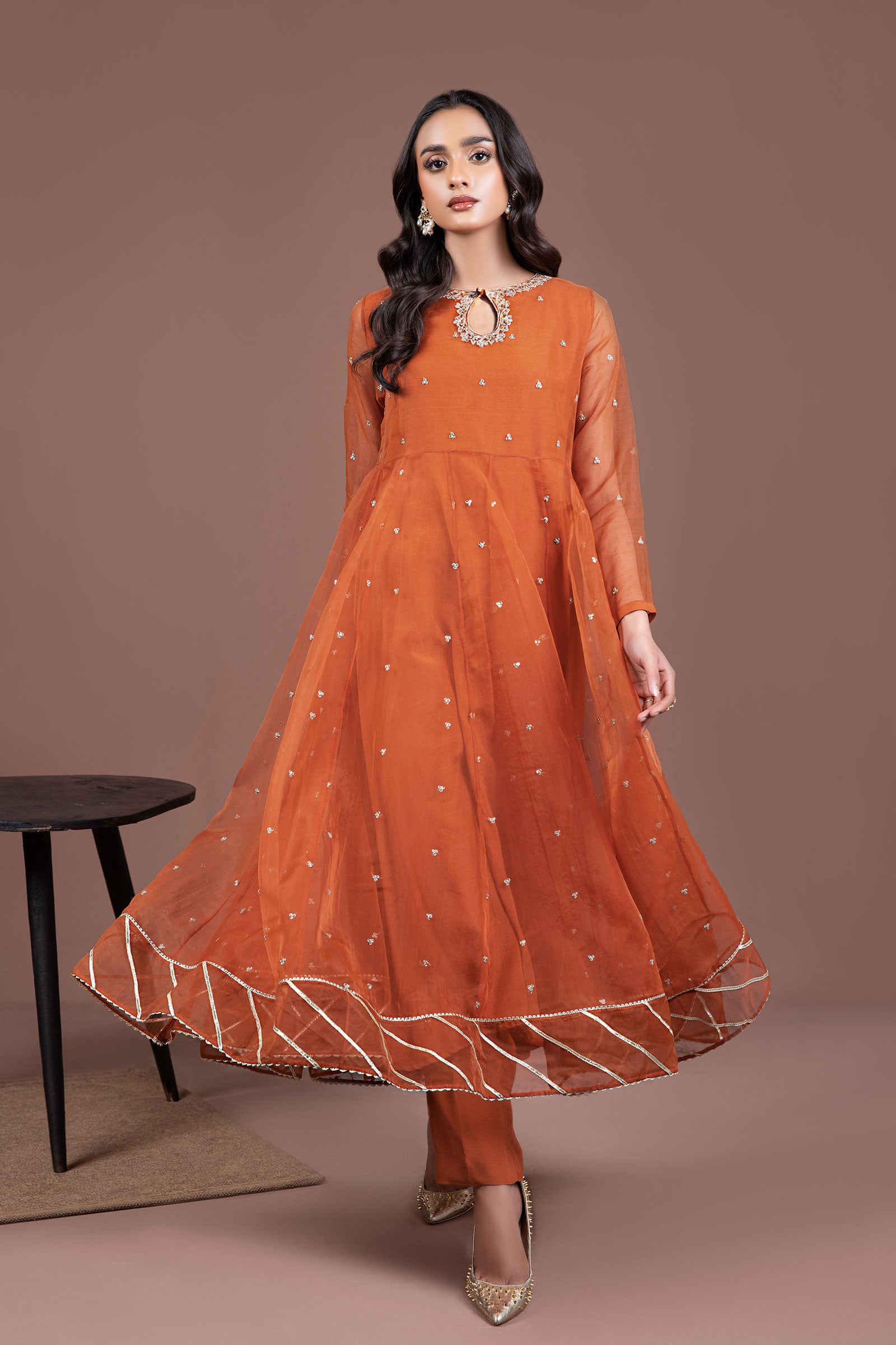 2 Piece Embroidered Organza Suit
