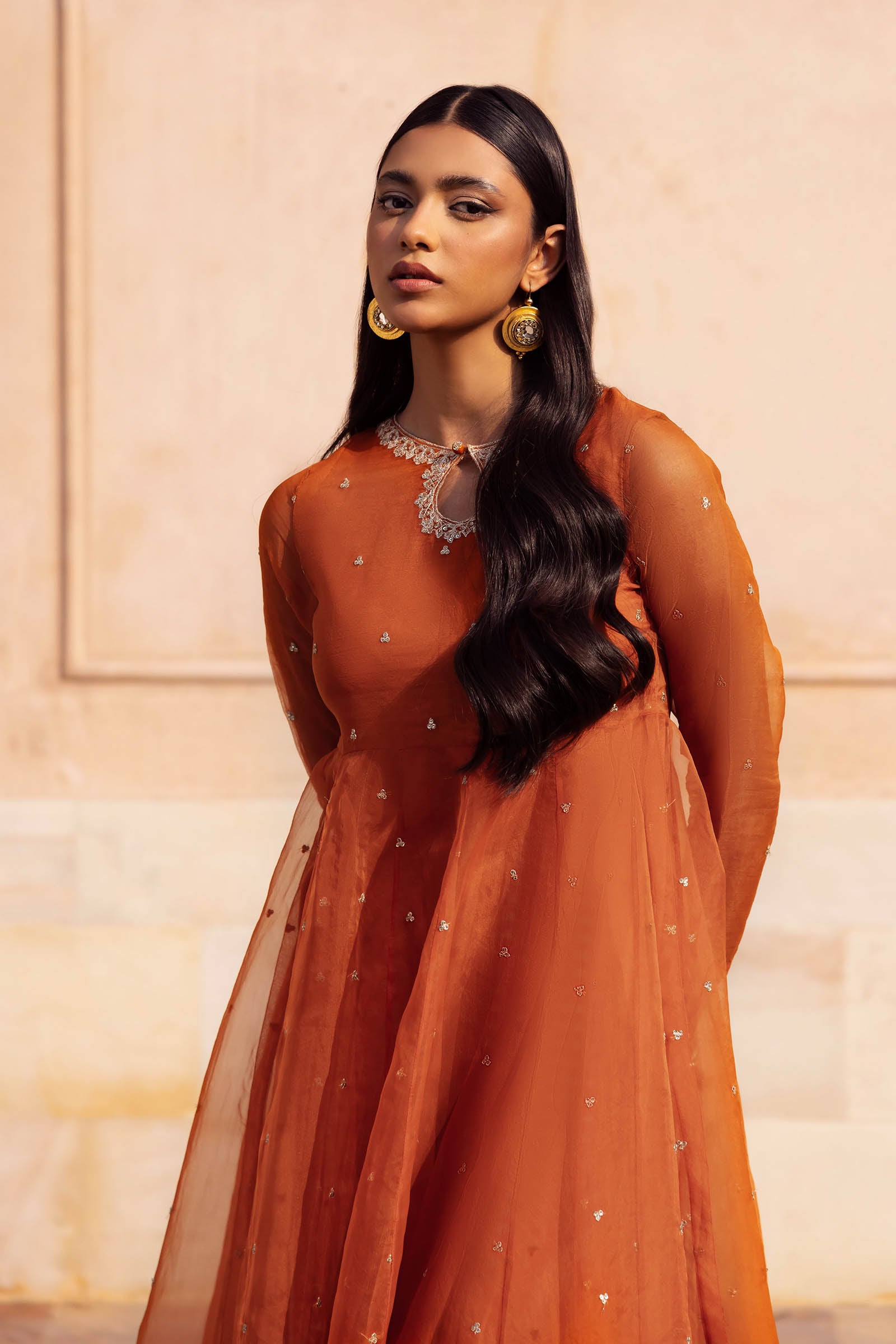 2 Piece Embroidered Organza Suit