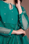 2 Piece Embroidered Organza Suit