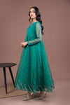2 Piece Embroidered Organza Suit