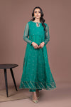 2 Piece Embroidered Organza Suit