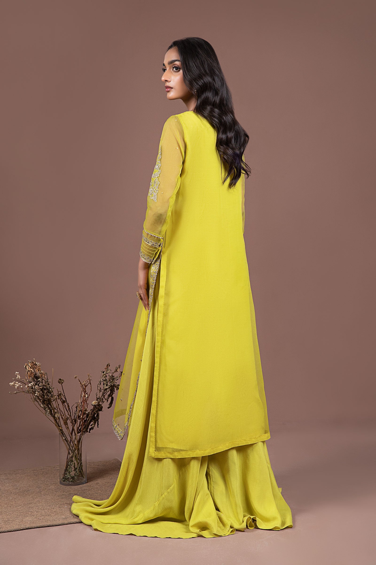 2 Piece Embroidered Organza Suit