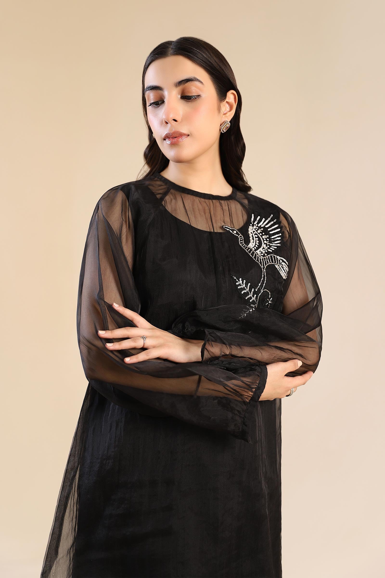 2 Pc Embroidered Organza Suit