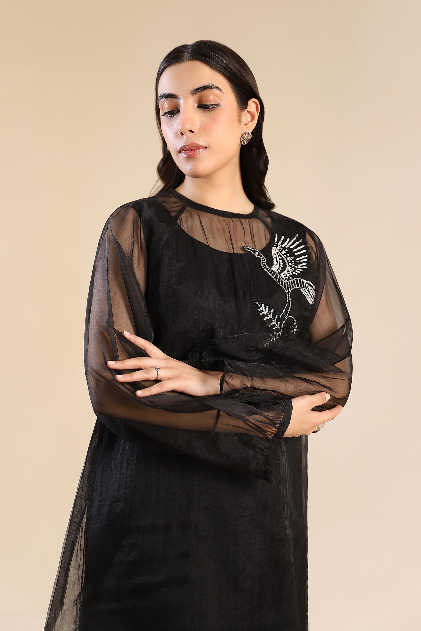 2 Pc Embroidered Organza Suit