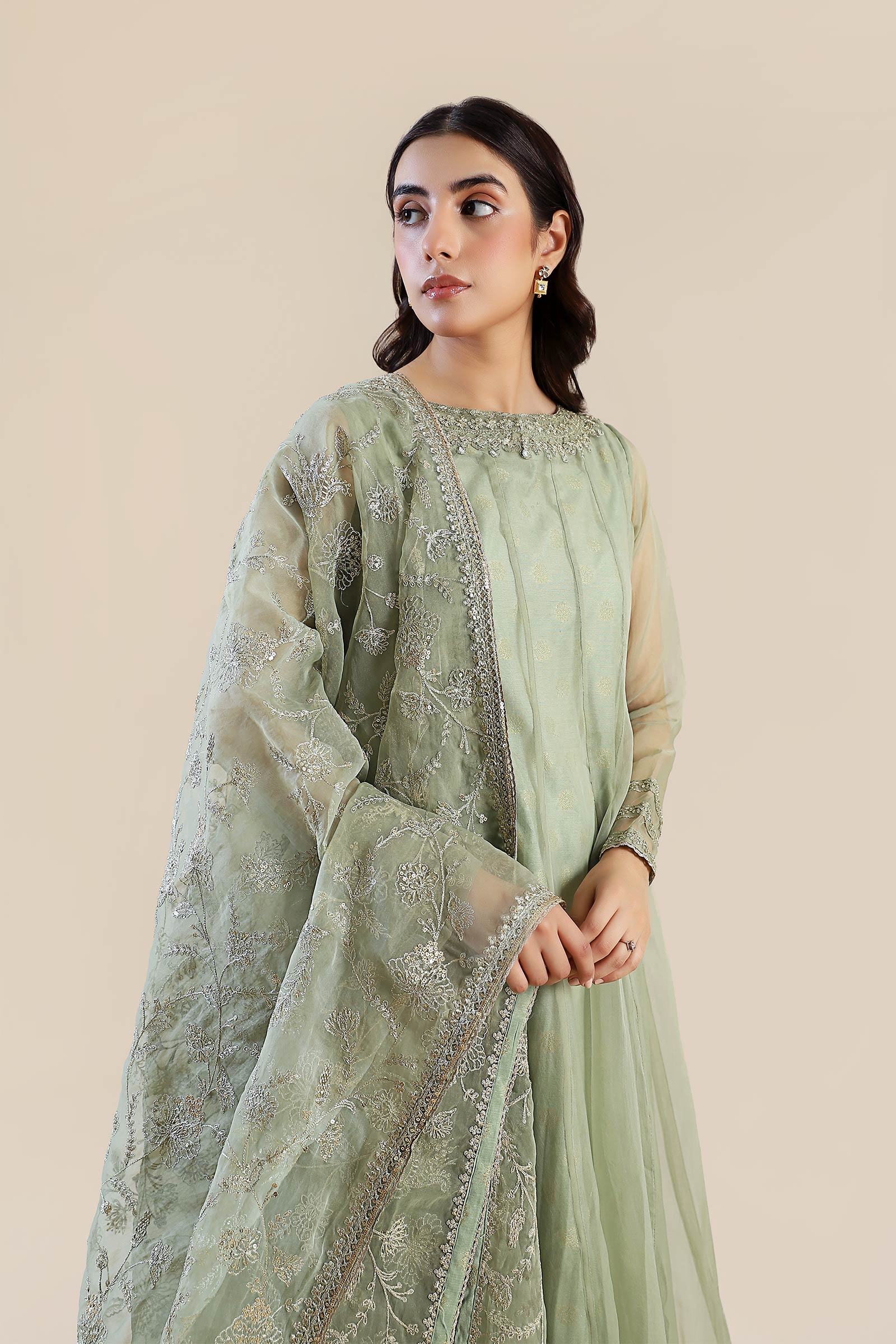 2 Pc Embroidered Organza Suit