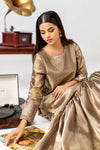 2 Pc Embroidered Tissue Suit