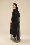 2 Pc Embroidered Raw Silk Suit