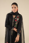 2 Pc Embroidered Raw Silk Suit