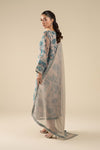 2 Pc Embroidered Organza Suit