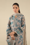 2 Pc Embroidered Organza Suit