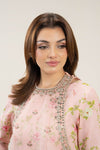 3 Pc Embroidered Organza Suit