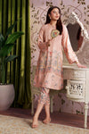 2 Pc Printed Georgette Suit