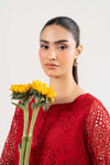 2 Pc Embroidered Organza Suit