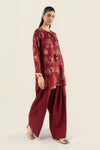 2 Pc Embellished Raw Silk Suit