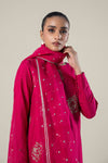 2 Pc Embroidered Raw Silk Suit