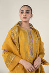 2 Pc Embroidered Raw Silk Suit