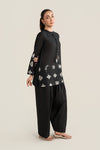 2 Pc Embroidered Lawn Suit