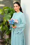2 Pc Embroidered Karandi Suit