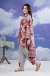 3 Pc Printed Khaddar Suit