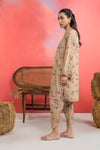 2 Pc Embroidered Karandi Suit