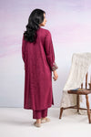 2 Pc Embroidered Filament Viscose Suit