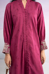 2 Pc Embroidered Filament Viscose Suit