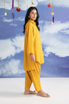 2 Pc Dyed Rib Karandi Suit