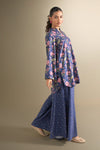 2 Pc Printed Karandi Suit