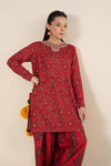 2 Pc Embroidered Karandi Suit