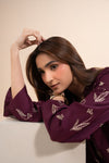 2 Pc Embellished Karandi Suit
