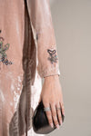 2 Pc Embellished Velvet Suit