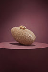 Evening Shell Clutch