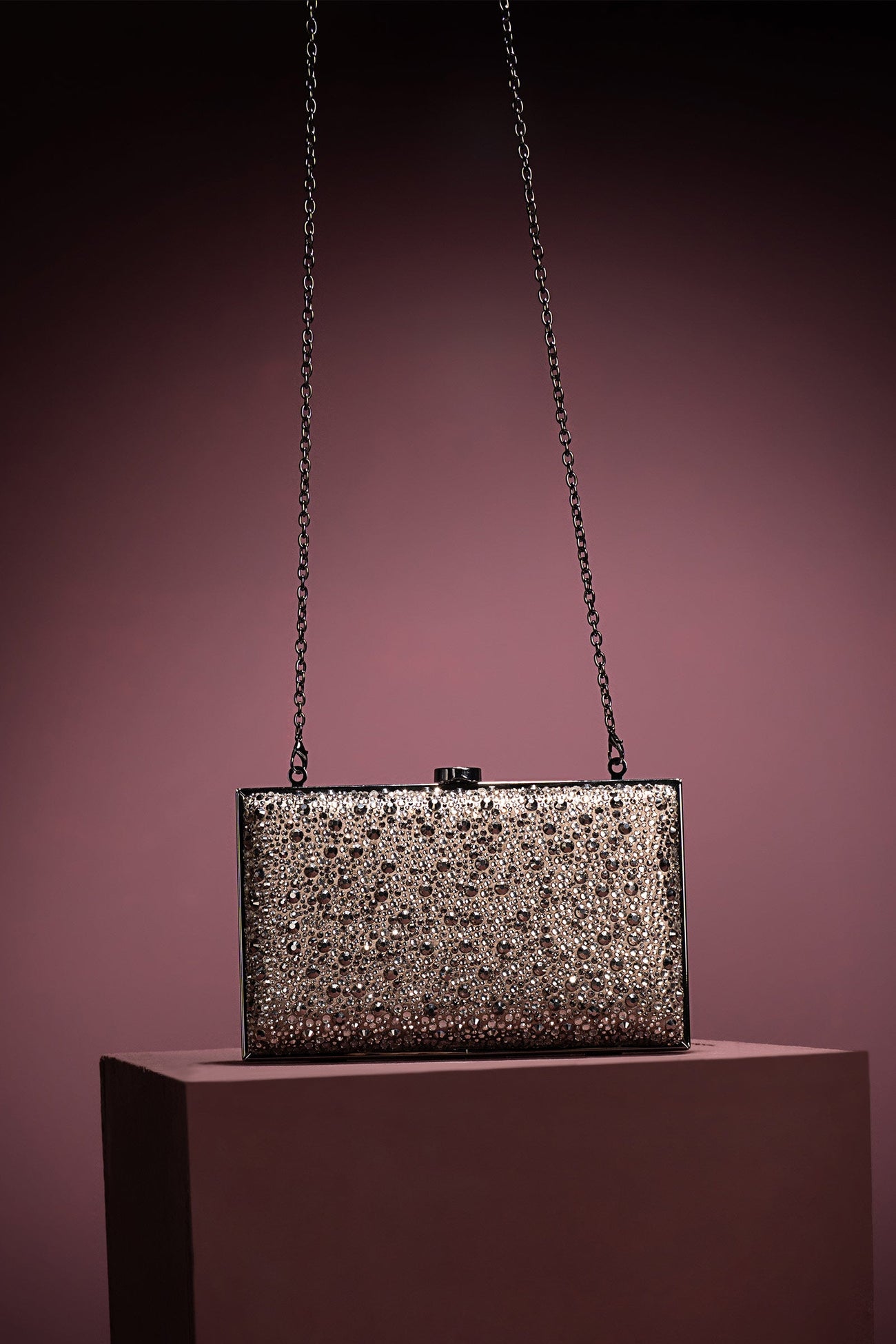 Sparkling Rectangle Clutch