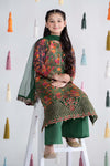 3 Piece Printed Cotton Masoori Suit