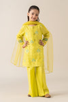 3 Piece Embroidered Lawn Suit