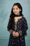 3 Piece Embroidered Suit