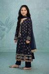 3 Piece Embroidered Suit