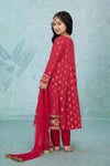 3 Piece Embroidered Suit