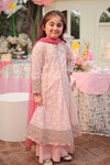 3 Piece Embroidered Lawn Suit