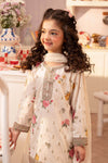 3 Piece Embroidered Lawn Suit