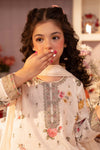 3 Piece Embroidered Lawn Suit