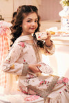 3 Piece Embroidered Lawn Suit