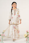 3 Piece Embroidered Lawn Suit
