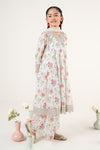3 Piece Embroidered Lawn Suit