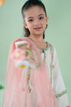 3 Piece Embroidered Dobby Suit